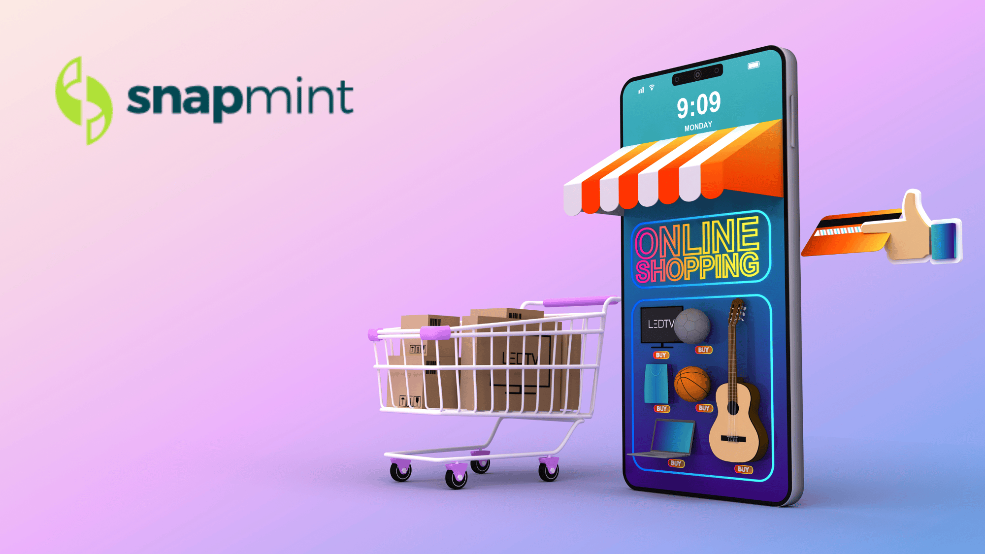 SnapMint Portfolio Merisis